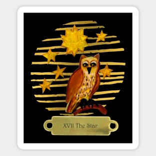 XVII The Star Tarot card Magnet